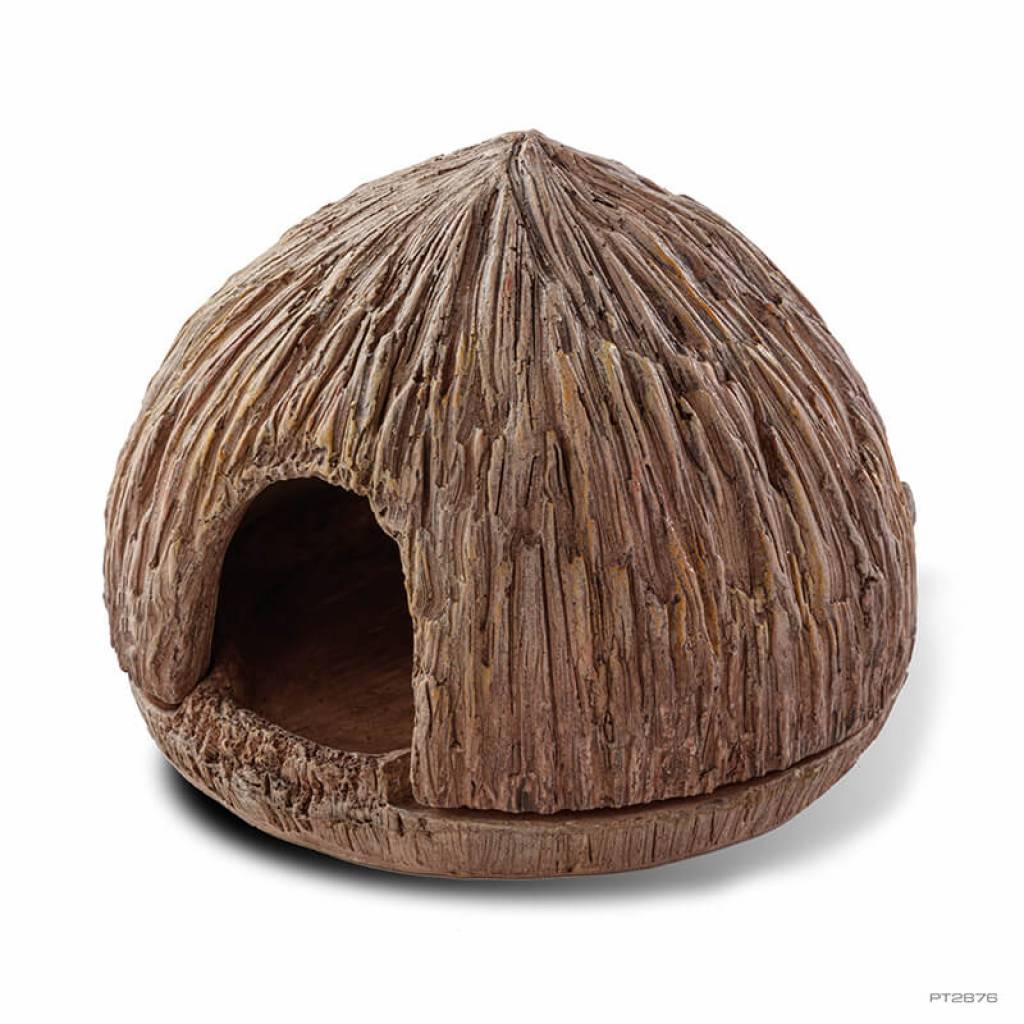 COCONUT CAVE